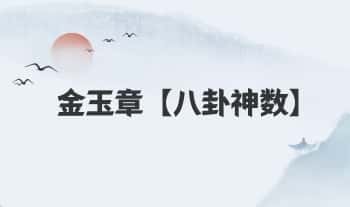 金玉章【八卦神数】音频课65集（课时7小时）