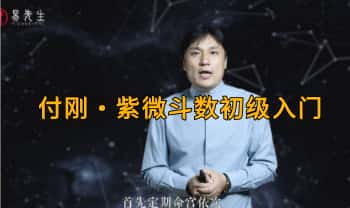 付刚【紫微斗数初级入门】视频课程36集