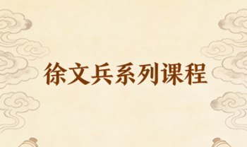 GY22644.徐文兵系列课程