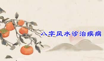 付刚【八字风水诊治疾病】5集视频课