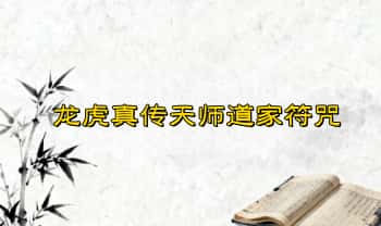 【RY22330】龙虎真传天师道家符咒 18集视频