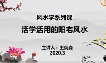 【RY22519】王炳森风水人人都能学会 16集视频课