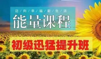 殷浩然 能量课程初级迅猛提升班63集视频