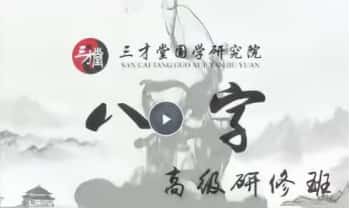 宋惠彬【八字高级研修班】 视频课12集