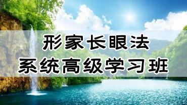 形家长眼法系统高级学习班 34集视频