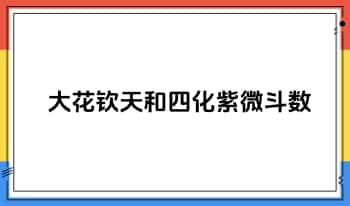 【RY23079】大花钦天和四化紫微斗数视频课