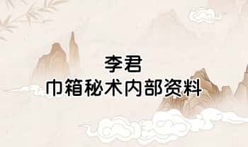 李君《巾箱秘术内部资料》（大全）共10本 pdf电子版