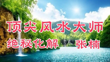 张楠-顶尖风水大师绝秘化解 100集视频