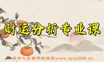 清风《财运分析专业课》17集视频（世有七玄国学教程网www.syqx568.cn）