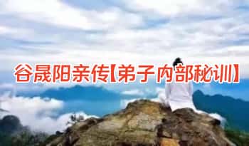 谷晟阳亲传【弟子内部秘训】视频课30集