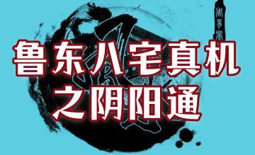 鲁东《八宅真机之阴阳通》232页 PDF
