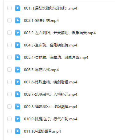 易筋洗髓高级班 视频11集