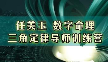 任美玉 数字命理三角定律导师训练营 视频38集