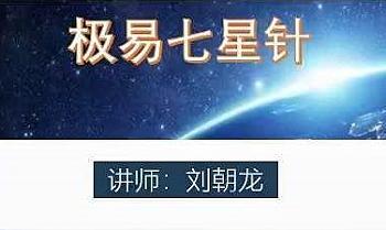 刘朝龙极易七星针 视频2集