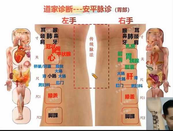 谭观钦道家安平脉法5讲视频