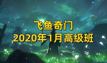 飞鱼奇门2020年1月高级班（录音+课件）