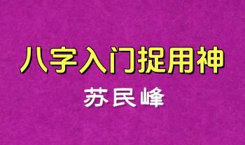 苏民峰《八字入门捉用神》239页PDF