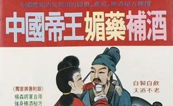 《中国帝王媚药补酒》383页pdf电子书