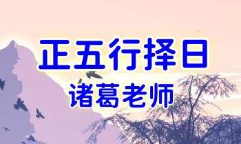 诸葛老师《正五行择日》25集视频