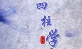 郅朔《八字命理学》45集视频+文档