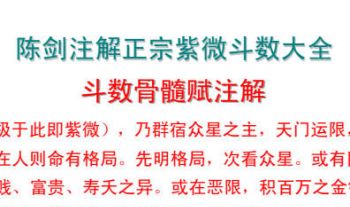 陈剑 注解正宗紫微斗数大全  斗数骨髓赋注解 52页.PDF电子书