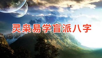 灵枭易学 盲派八字全套高清视频+讲义 视频222集