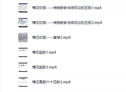 梅花易数微观论（基础21集+初级6集+中级3集+高级10集）
