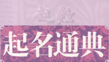 《赵姓起名通典》223页.PDF电子版