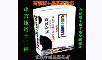 苏国圣-盲派宫压运《盲派命理2021年高级班＋提高班笔记》PDF电子版