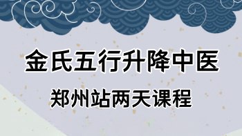 金氏 五行升降中医 两天课程郑州站 共8集视频