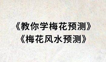 癸水酉金《教你学梅花预测》+《梅花风水预测》2本