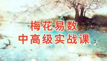 信老师《梅花易数》最新中高级实战课 24集