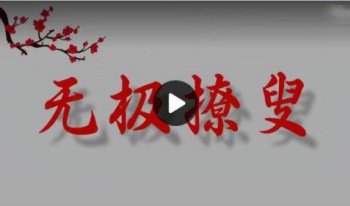 赵三雍 梅花易数最高境界《无极撩叟》 7集视频(无极僚叟)