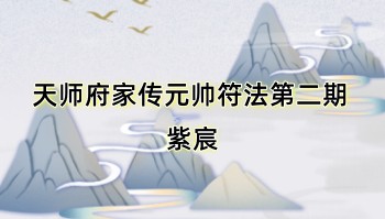 紫宸 天师府家传元帅符法 第二期 音频+文档课件