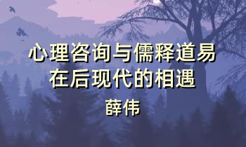 薛伟：心理咨询与儒释道易在后现代的相遇 11讲音频