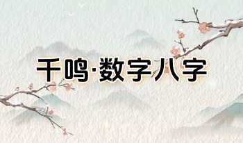 千鸣《数字八字》8集视频