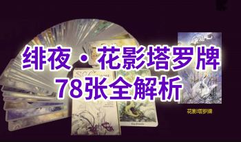 绯夜《花影塔罗牌占卜78张全解析》80集视频