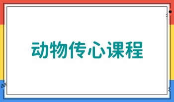 动物通心术 动物传心课程 音频+资料