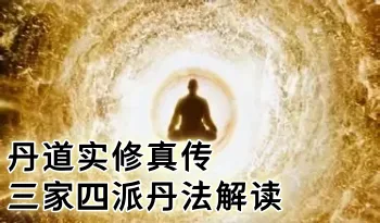 《丹道实修真传：三家四派丹法解读》267页.PDF电子版