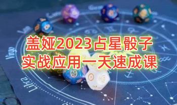 盖娅2023占星骰子实战应用一天速成课程 16集视频