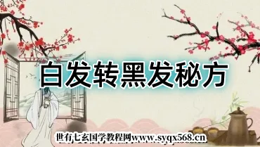 白发转黑发秘方（20斤泡酒方）1页.PDF电子版