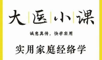 林大栋 实用经络学 27集视频