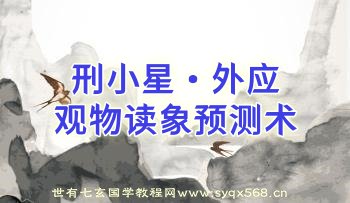 刑小星外应《观物读象预测术》初级+进阶 48集视频