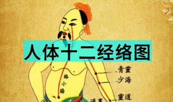 人体十二经络图.12页 PDF电子版