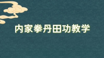 内家拳丹田功教学 5集视频