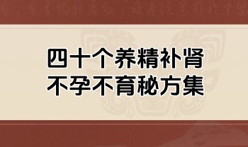 四十个养精补肾、不孕不育秘方集.PDF电子版