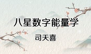 司天喜《八星数字能量学》340页.PDF电子版