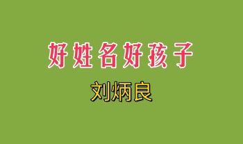 刘炳良《好姓名好孩子》309页.PDF电子版