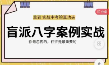 弥田 盲派四柱八字实战案例分析 16集视频