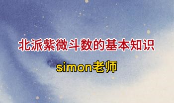 simon老师 北派紫微斗数 65集视频